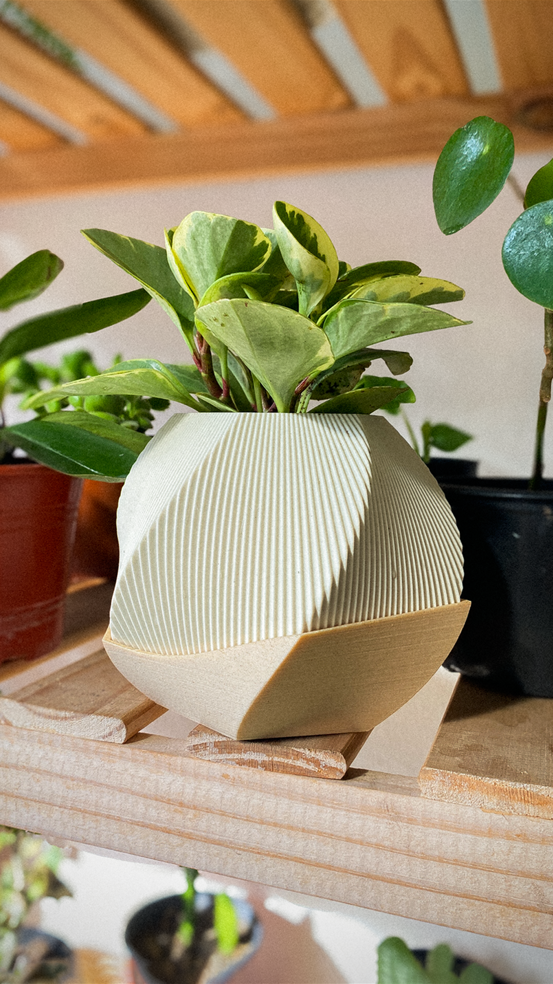 Planters