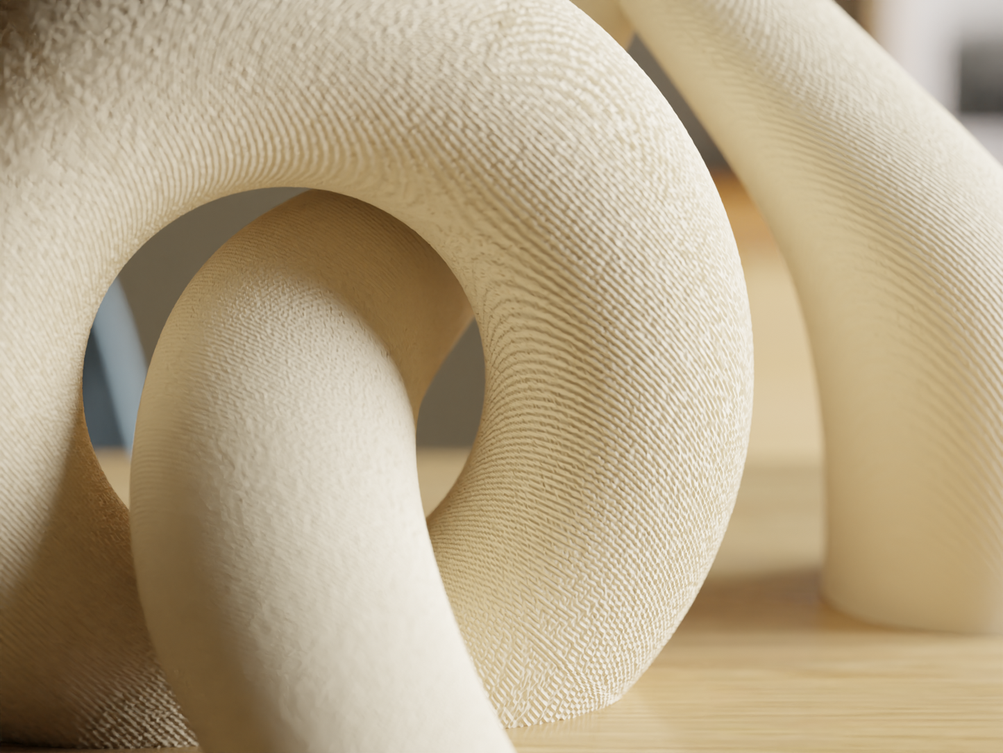 Interlocking Toroidal vases