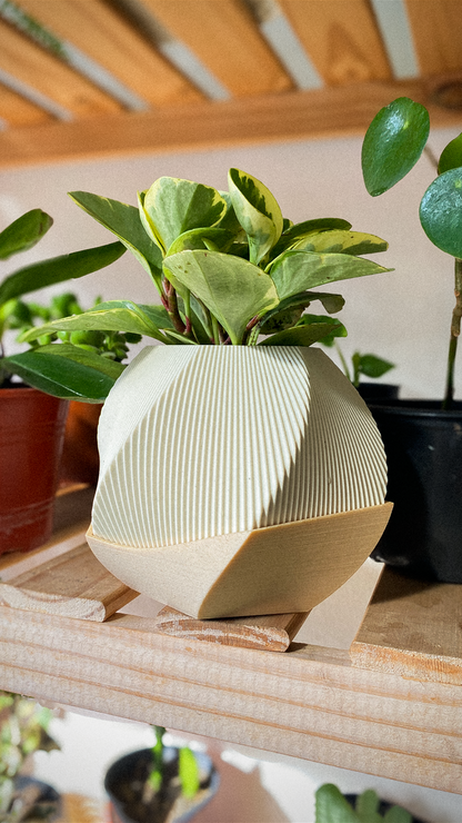 🌿 Sofia Planter Pot 🌿