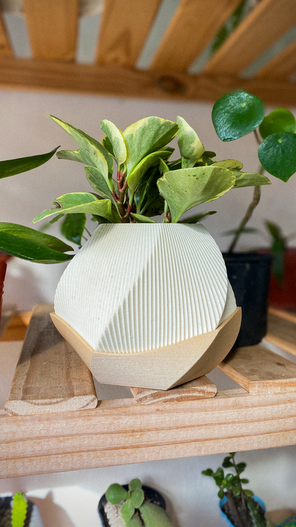 🌿 Sofia Planter Pot 🌿